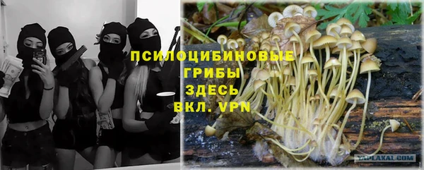 СК Белокуриха