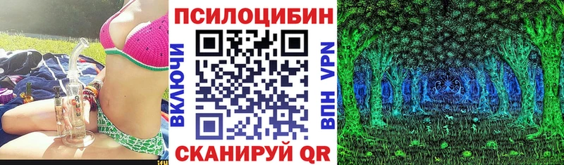 как найти   ОМГ ОМГ зеркало  Псилоцибиновые грибы мухоморы  Чкаловск 