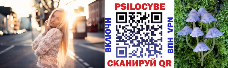 Галлюциногенные грибы Psilocybe Чкаловск